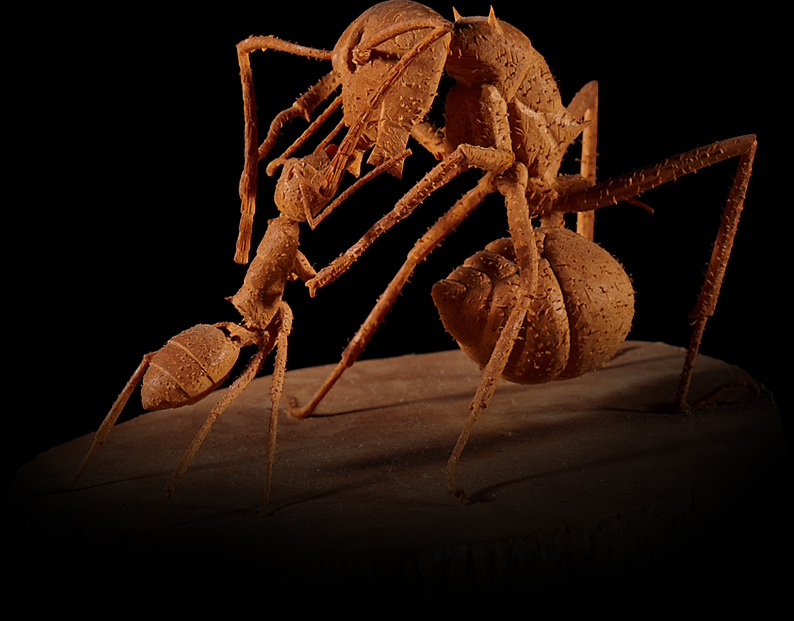 木雕螞蟻